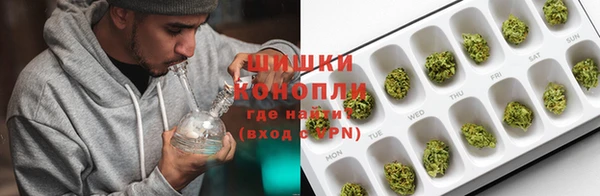 соль ск Бронницы