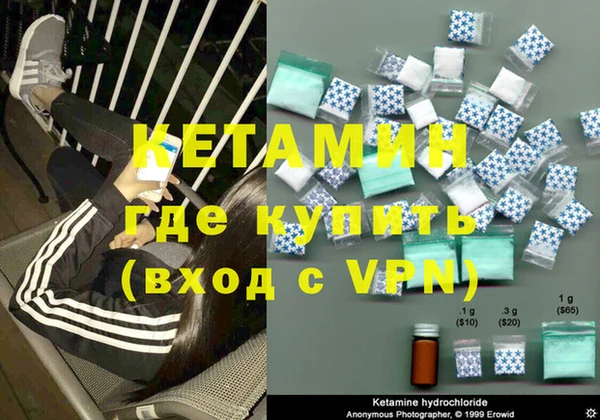 индика Богородицк