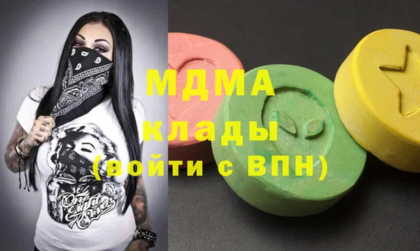индика Богородицк