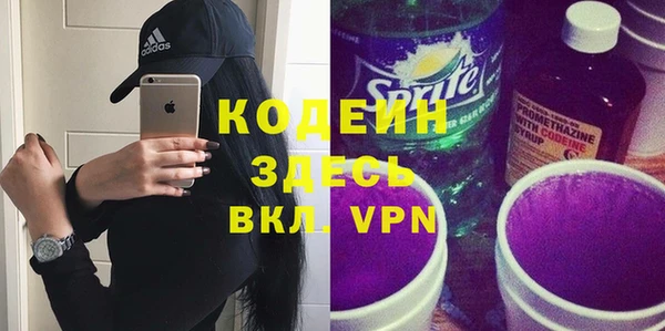 индика Богородицк