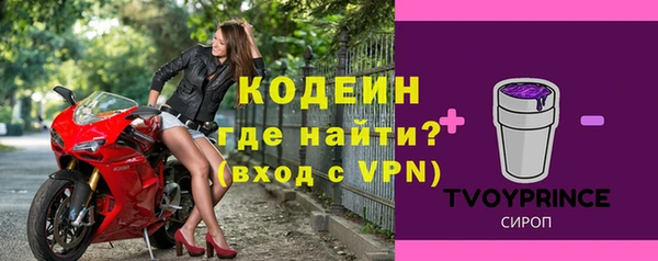 индика Богородицк
