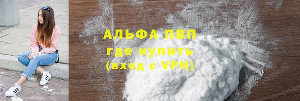 индика Богородицк