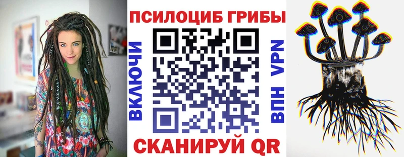 Галлюциногенные грибы Psilocybine cubensis  Курильск 